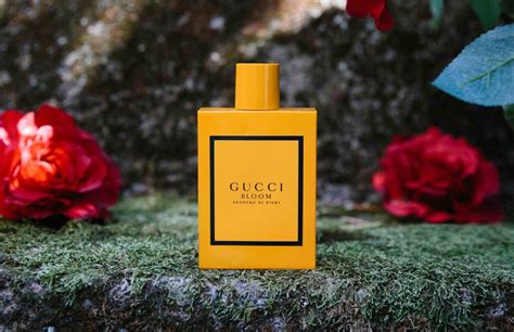 gucci bloom review reddit|Gucci Bloom Profumo Di Fiori Gucci for women .